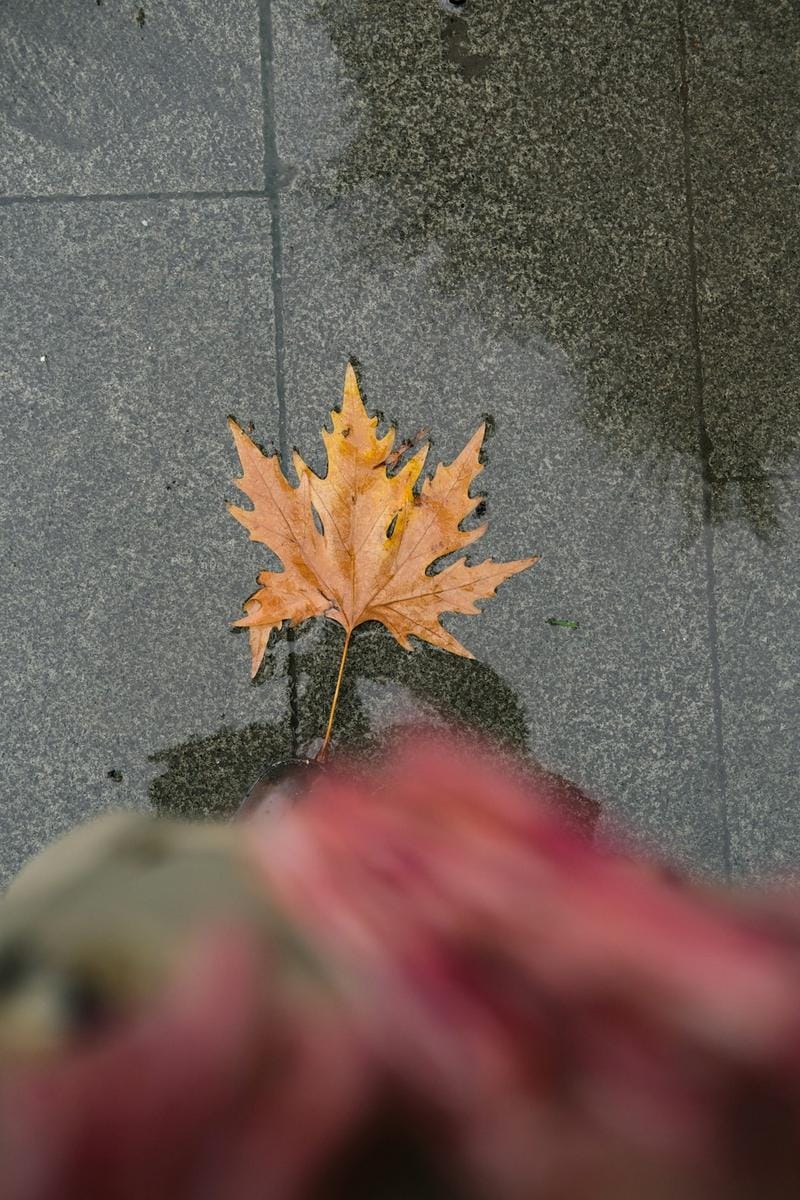 İstanbul'da kar ve yağmur arası geçiş yapan hava durumu ekranı