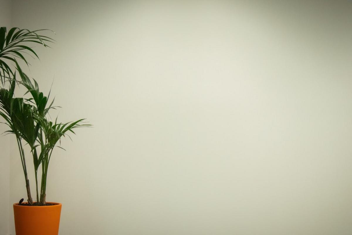 Dünyaca ünlü isimlerle yapılan derinlemesine röportajların yer aldığı modern çalışma ortamları