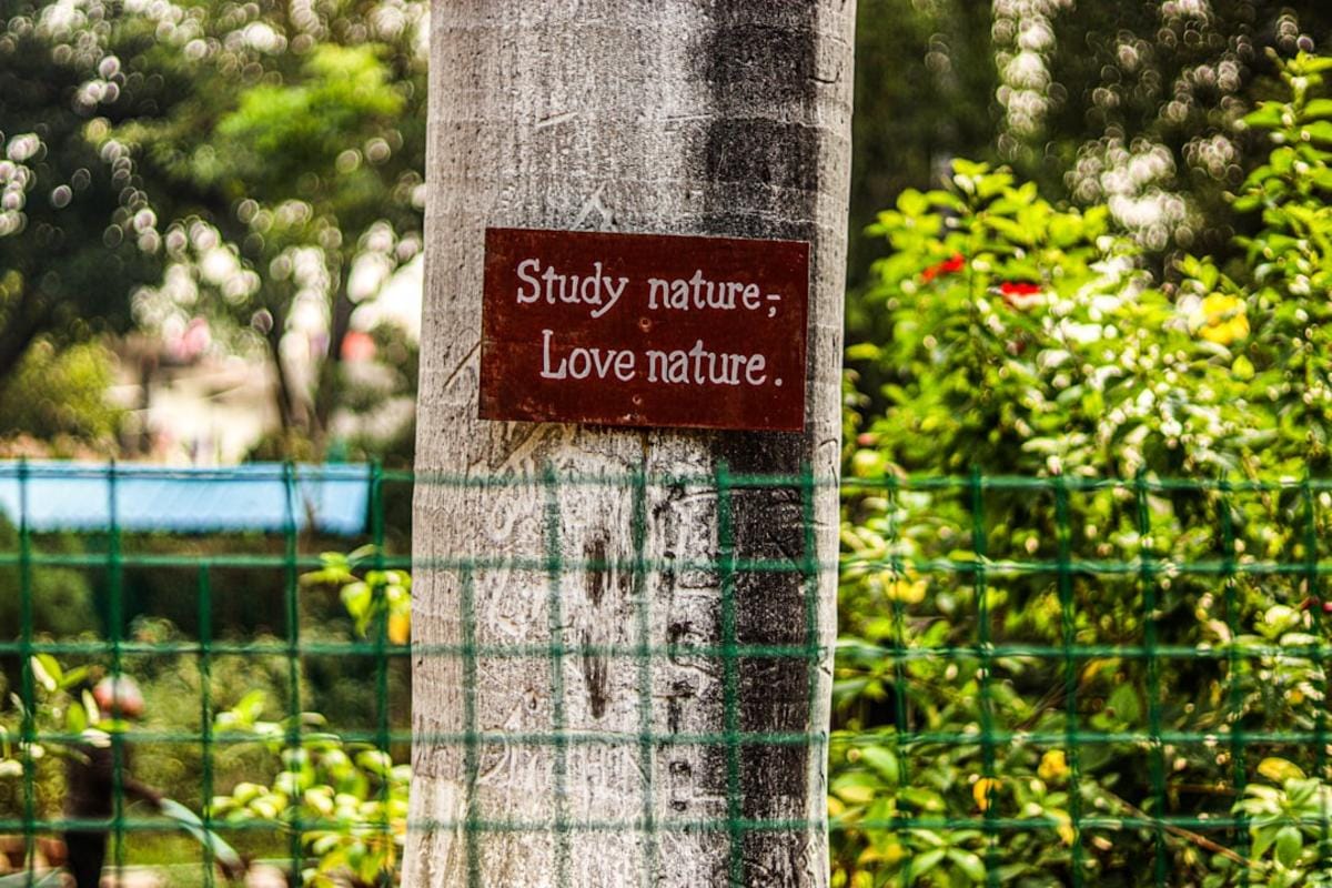 Doğa içinde, enerji alanlarını dengeleyen meditasyon yapan kişi görseli