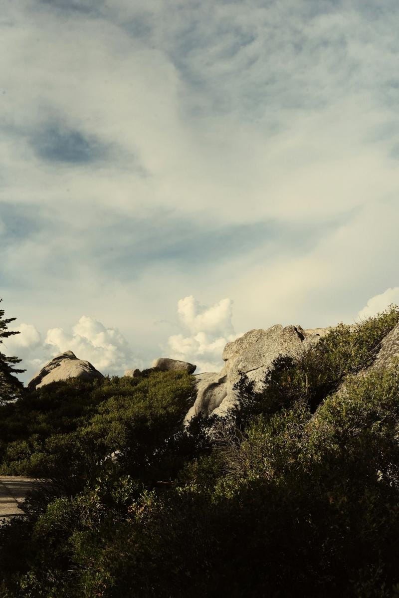 Sağlıklı yaşam ve şifa teknikleriyle ilgili huzurlu ve enerjik bir doğa manzarası